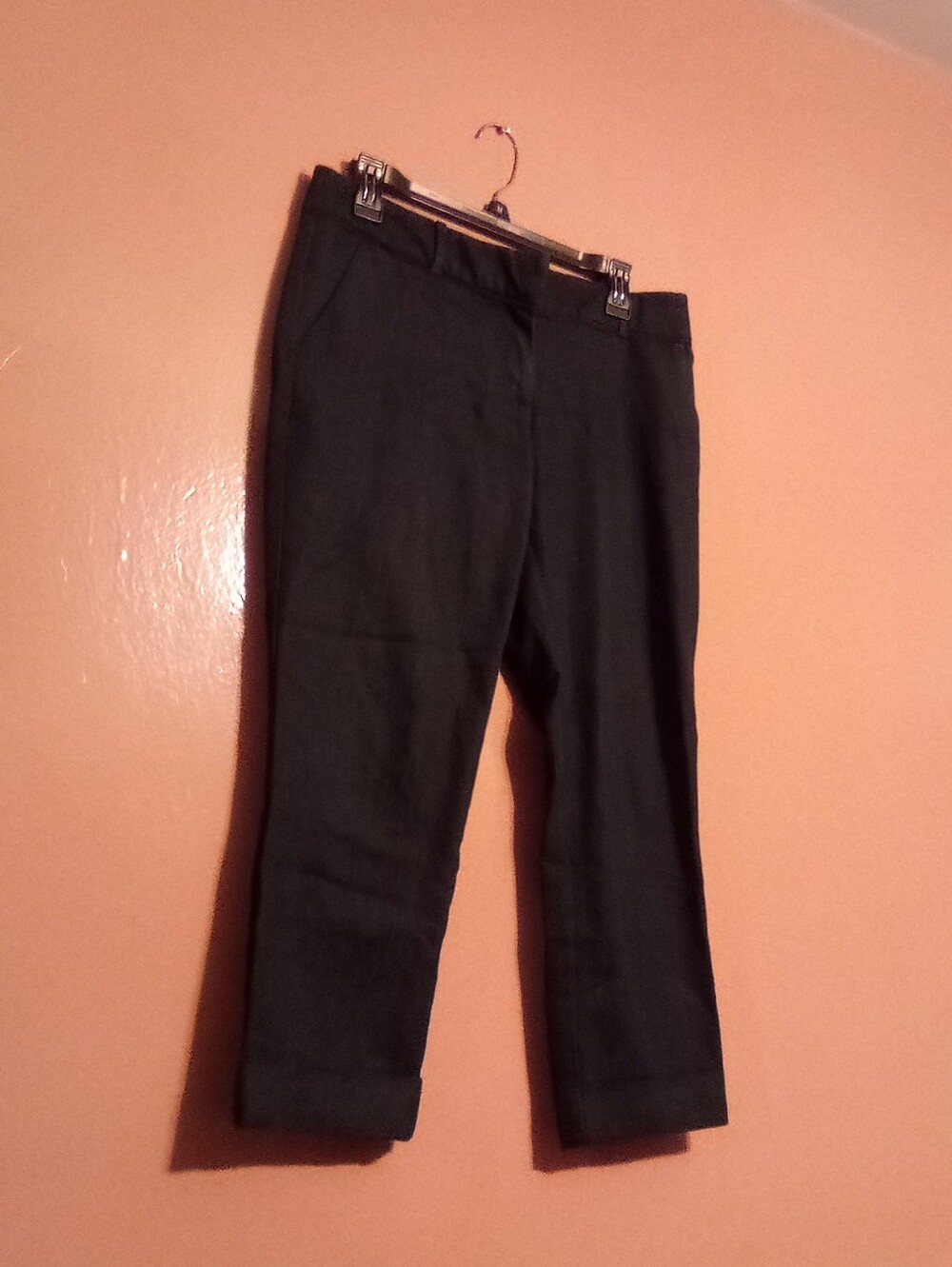 7th avenue New york & company pants size 4. ( Bag V )